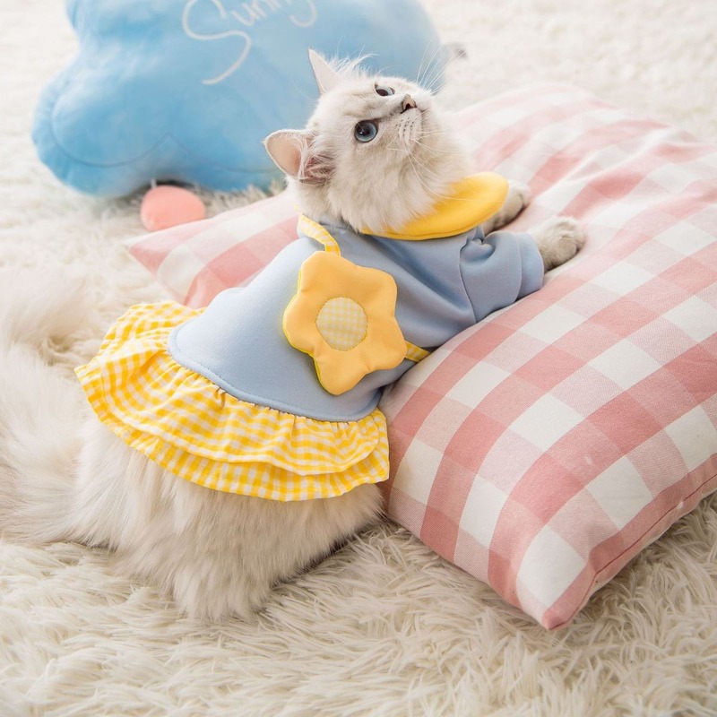 

Gingham Ruffle Decor Pet Sweatshirt, Blue