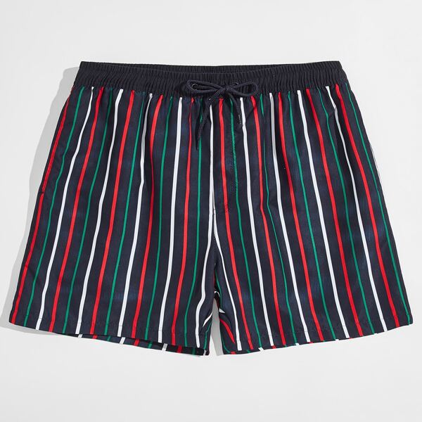 

Men Striped Drawstring Swim Shorts, Multicolor