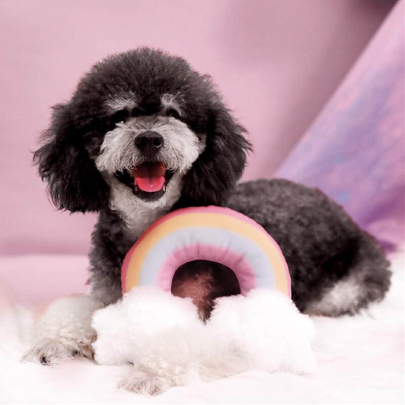 

Rainbow Shaped Dog Sound Toy, Multicolor