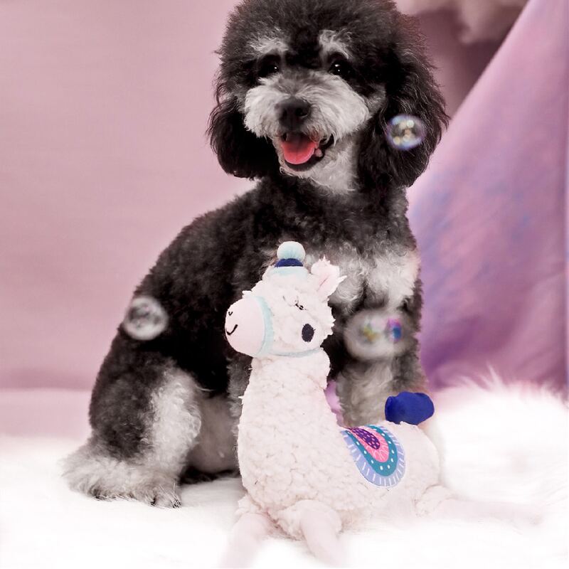 

Alpaca Shaped Dog Sound Toy, Multicolor
