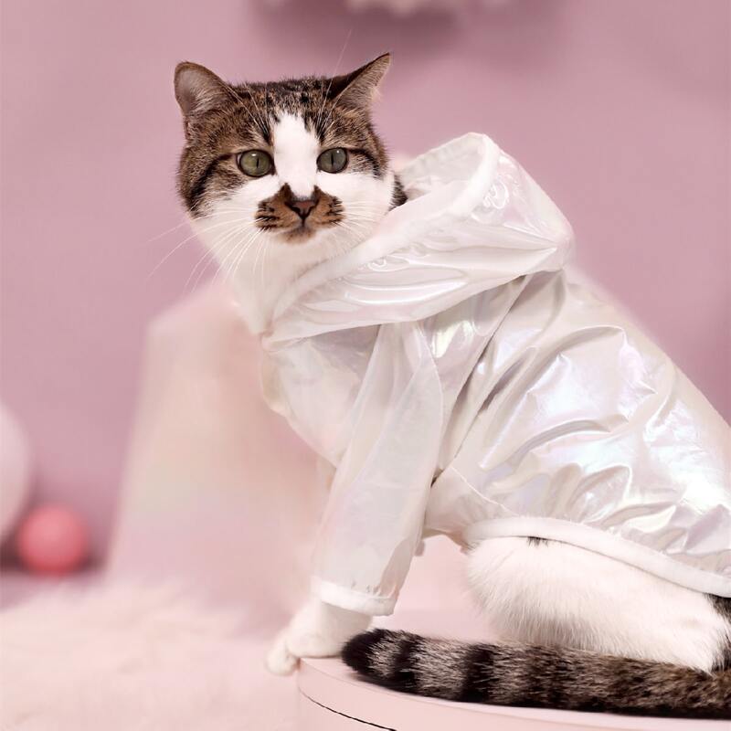 

Metallic Button Dog Coat, White