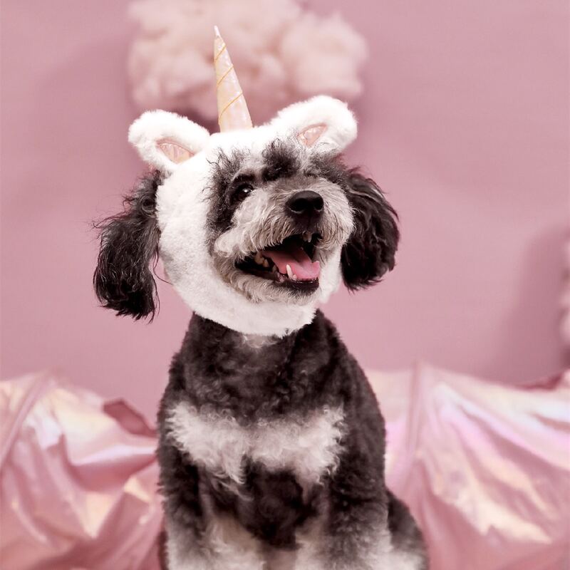 

Unicorn Design Dog Hat, Multicolor