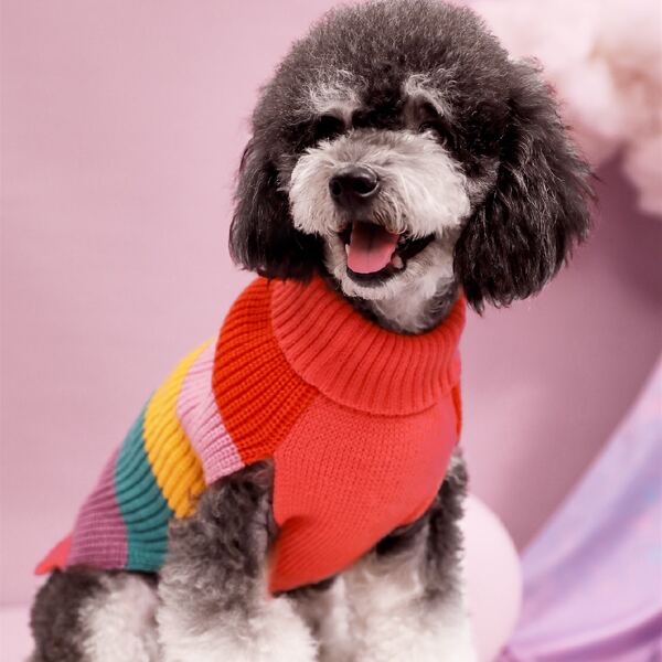 

Color Block Stripe Dog Sweater, Multicolor