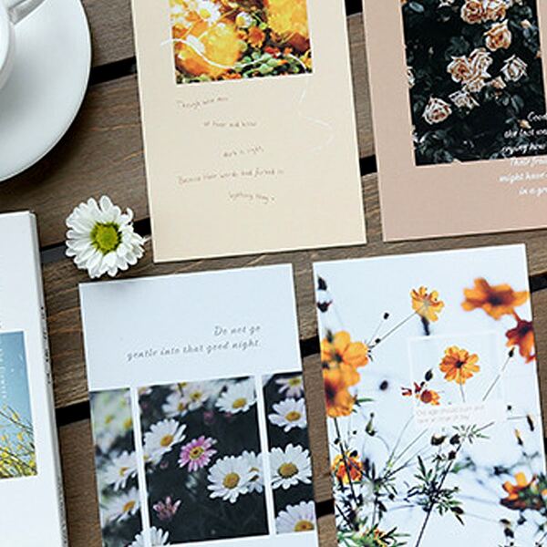 

30sheets Floral Pattern Postcard, Multicolor