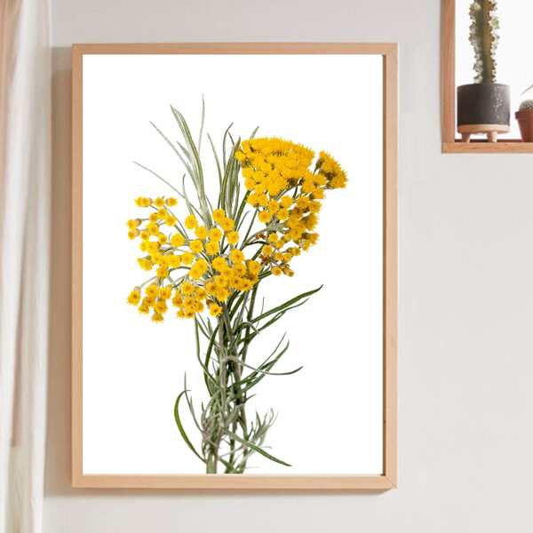 

Flower Print Wall Painting Without Frame, Multicolor