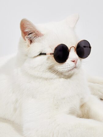 1 par gafas de mascota con lentes redondos