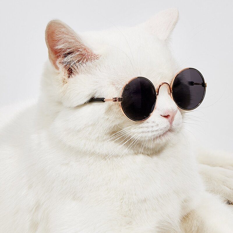 1pair Round Lens Pet Glasses, Dark grey
