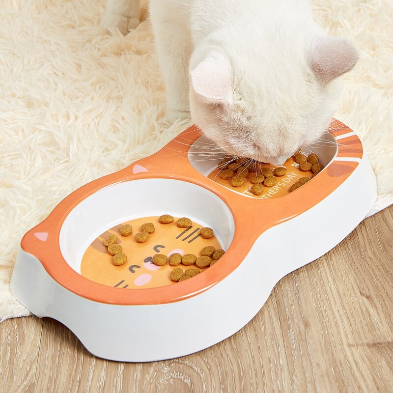 

Cartoon Graphic Double Pet Bowl, Orange
