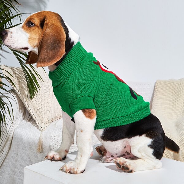 

Owl Pattern Pet Sweater, Green