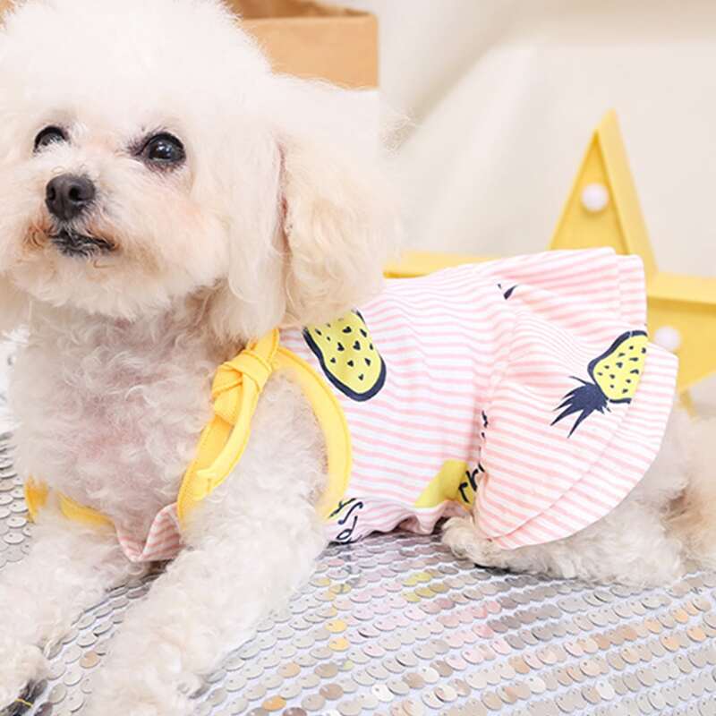 

Pineapple Striped Pet Dress, Baby pink