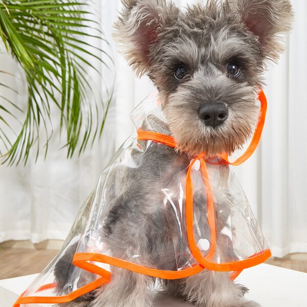 

Contrast Binding Clear Pet Raincoat, Multicolor