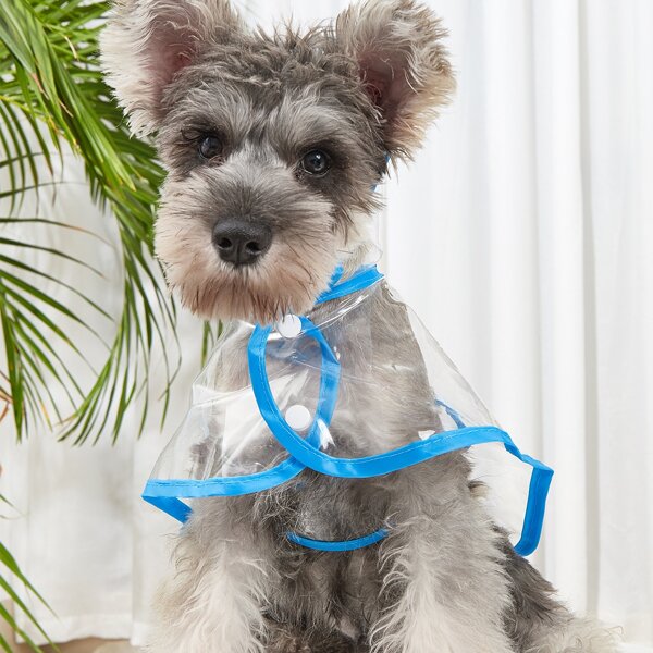 

Contrast Binding Clear Pet Raincoat, Multicolor