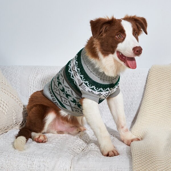 

Geometric Pattern Turtleneck Pet Sweater, Grey