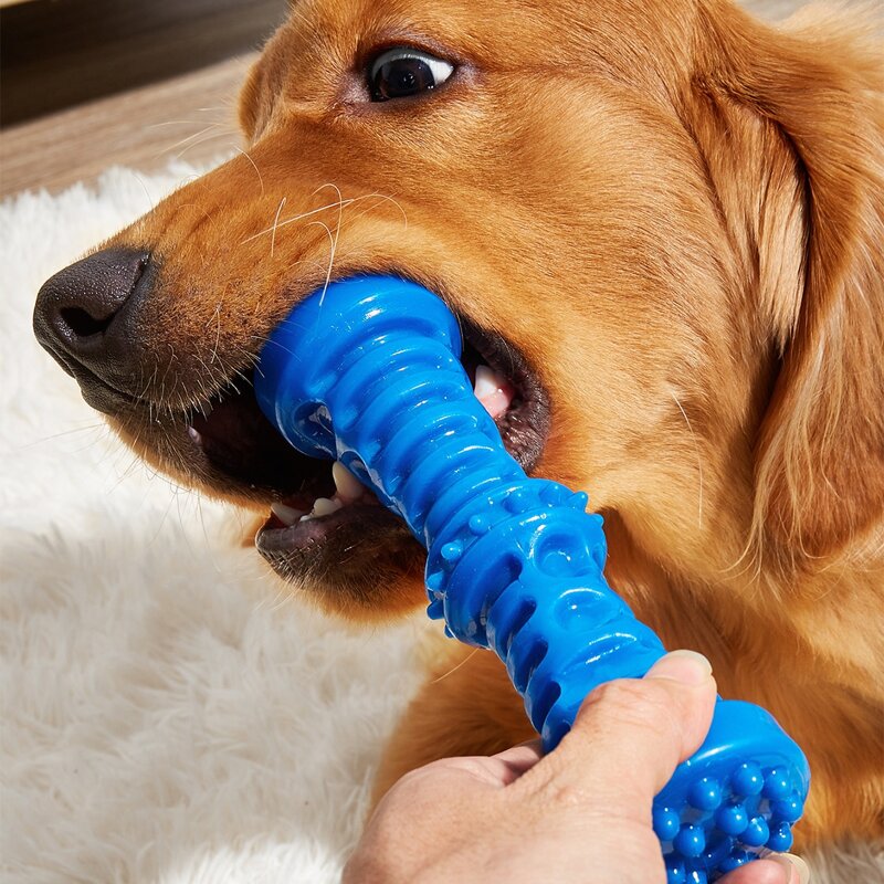 

Solid Pet Chew Toy, Blue