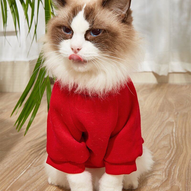 

Boxing Cat Pet Sweatshirt, Red