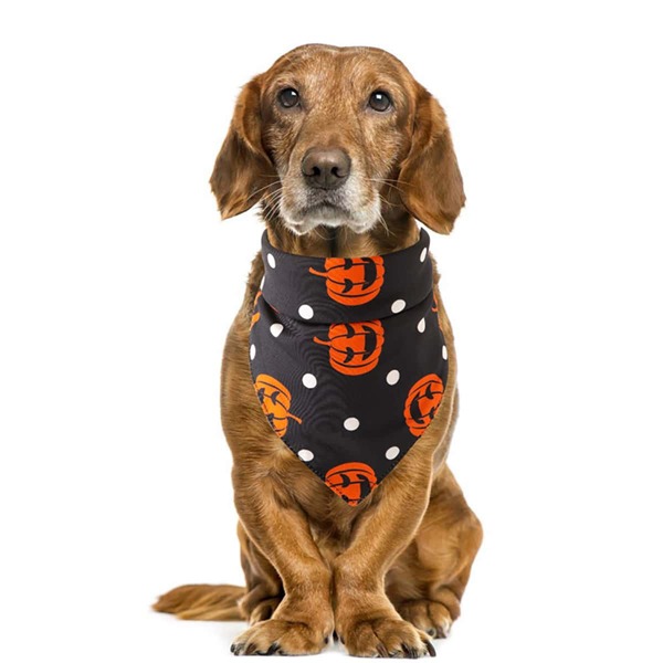 

Pumpkin Print Pet Bandana, Black