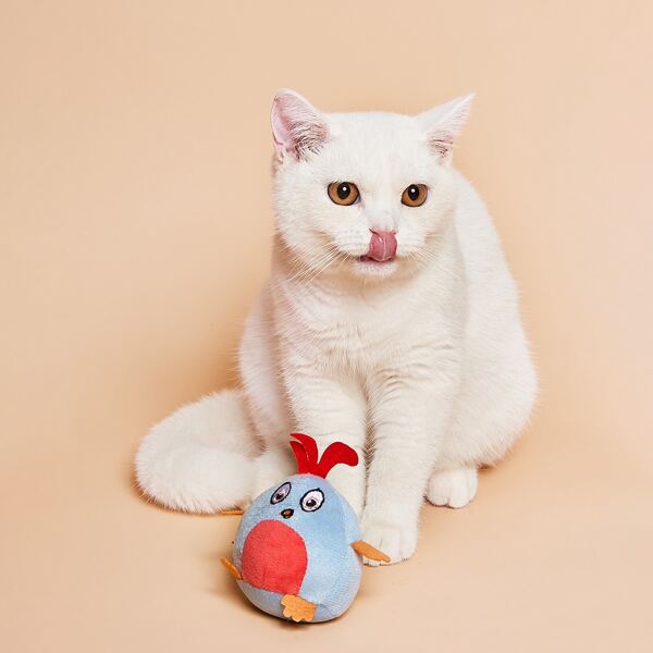

1pc Random Color Cartoon Shaped Pet Chasing Toy, Multicolor