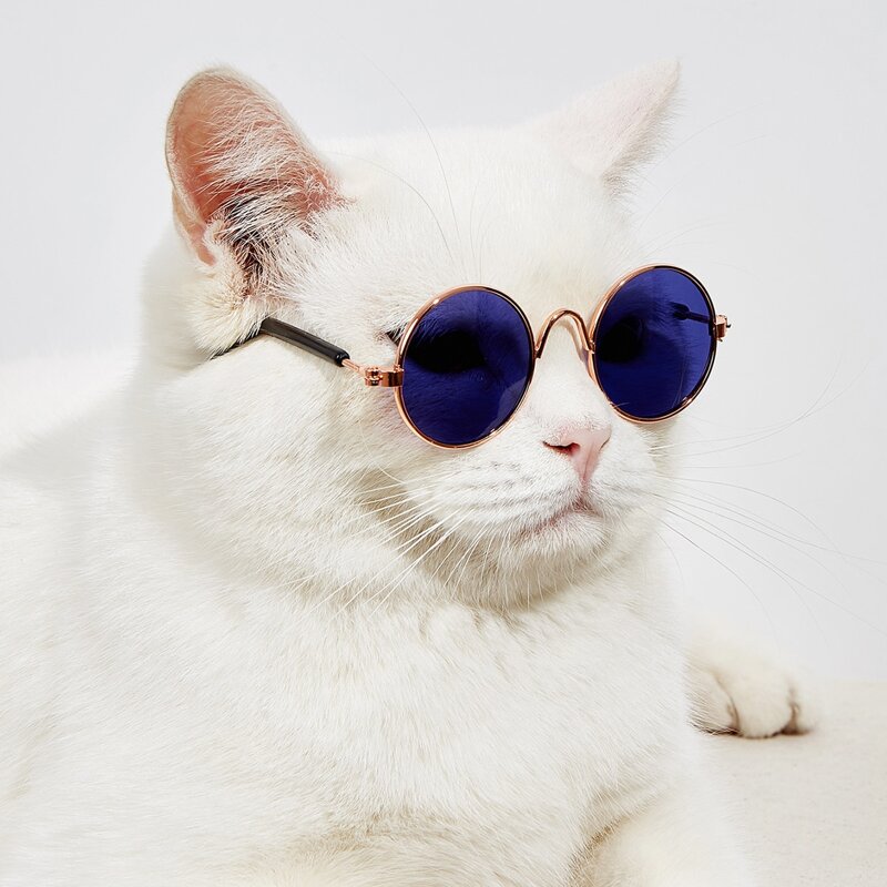 

1pair Round Lens Pet Glasses, Blue