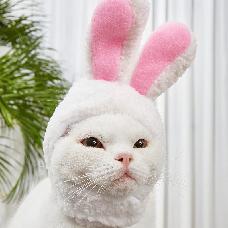 

3D Ear Plush Pet Hat, White