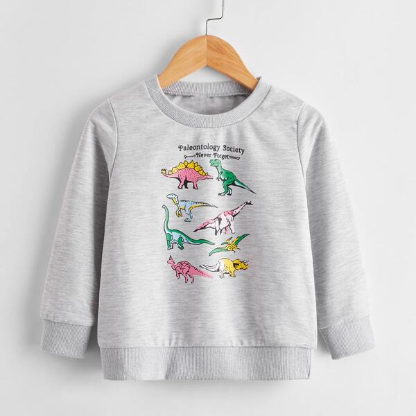 

Toddler Boys Dinosaur & Letter Graphic Sweatshirt, Light grey