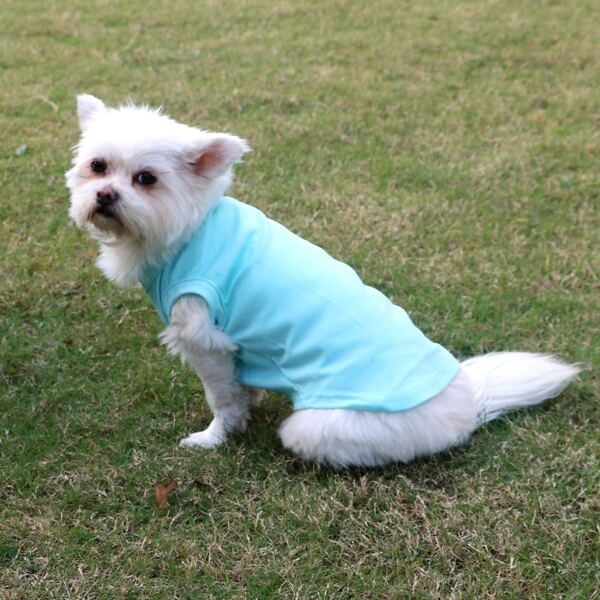 

Solid Pet Tank, Baby blue