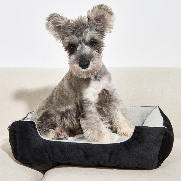 

Bone Pattern Pet Bed, Black