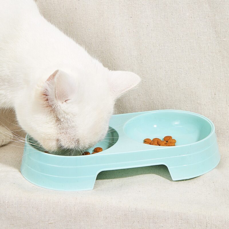 

Solid Double Pet Bowl, Mint blue