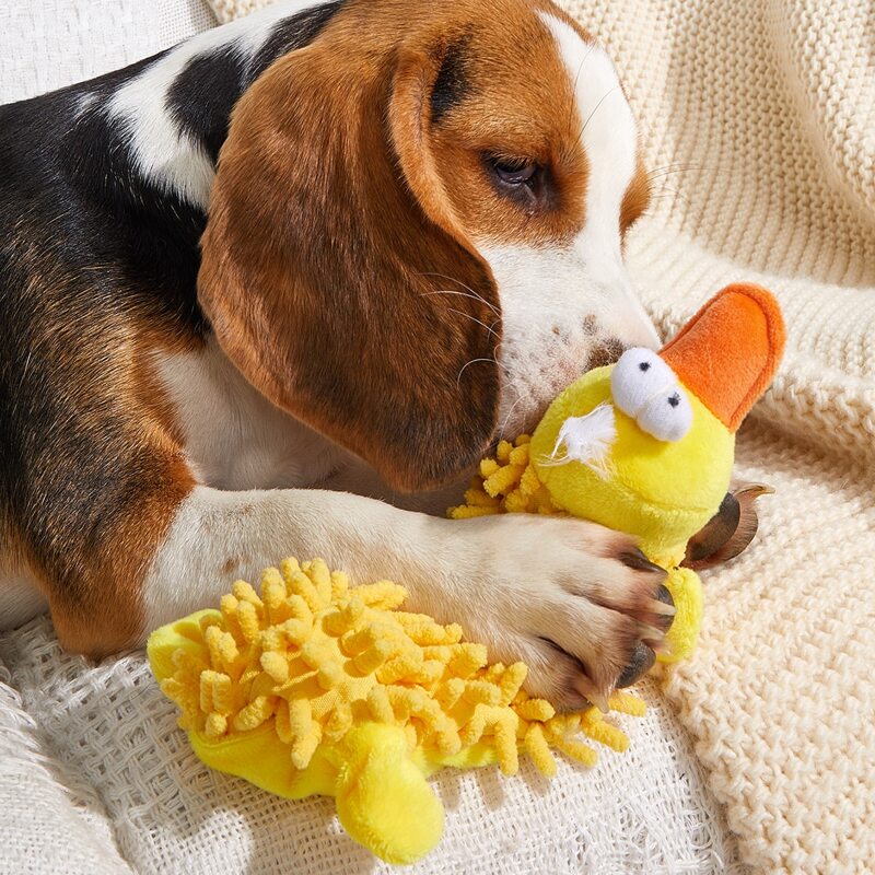 

Cartoon Design Pet Chew Toy, Yellow