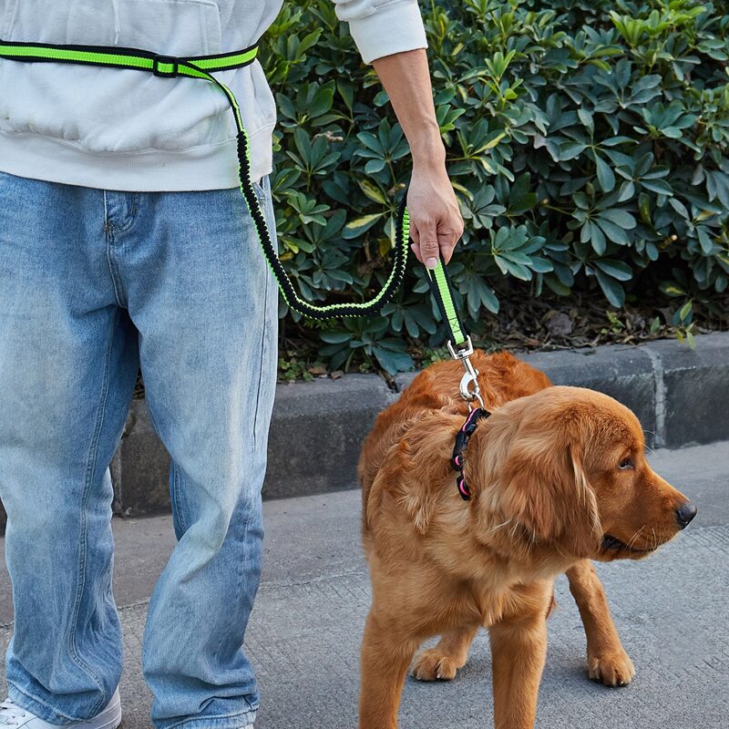 

1pc Outdoor Pet Leash With Adult Belt, Green