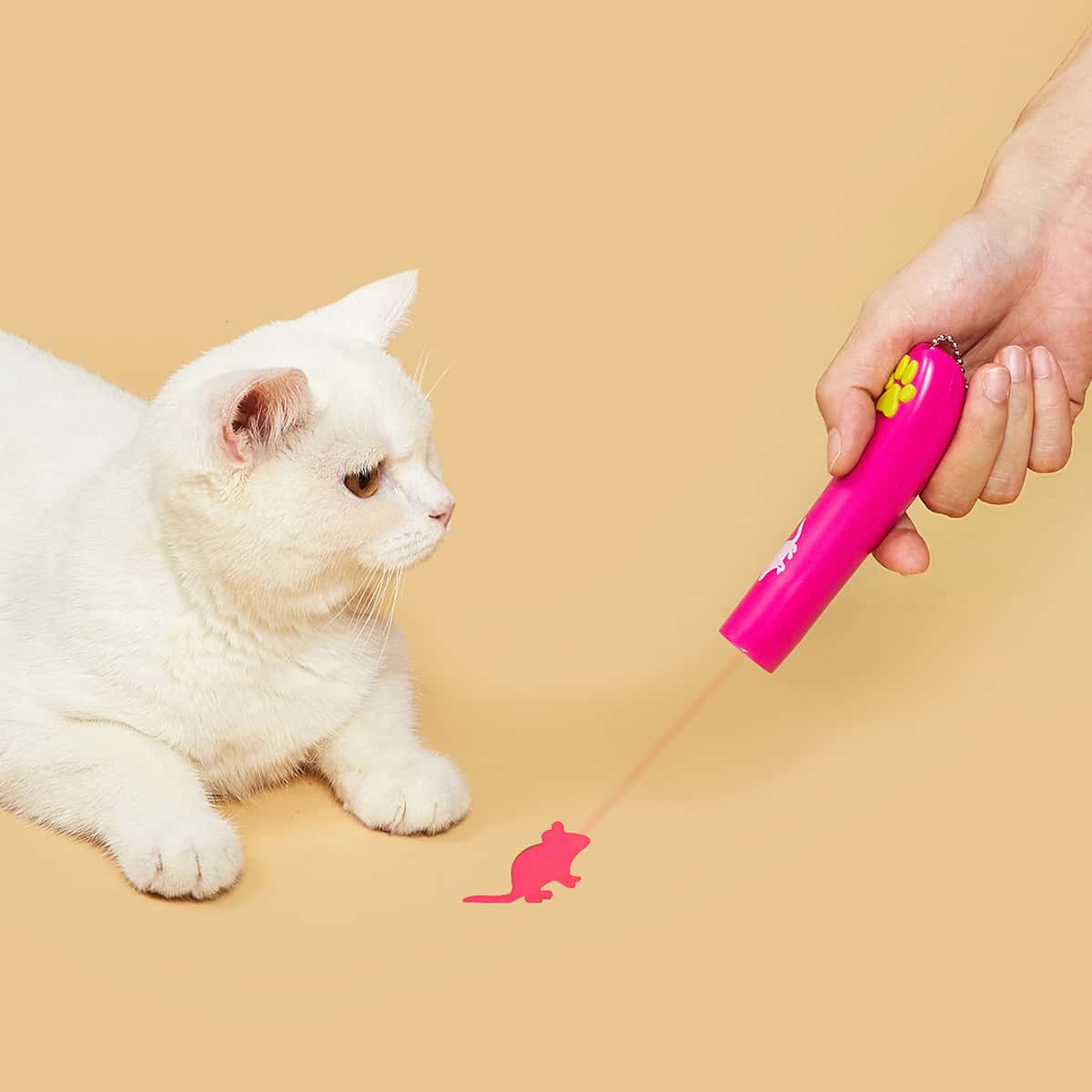 

Mouse Pattern Cat Laser Exerciser, Hot pink
