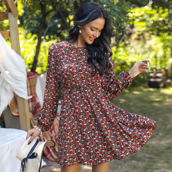 

Lantern Sleeve Ditsy Floral Print Dress, Multicolor