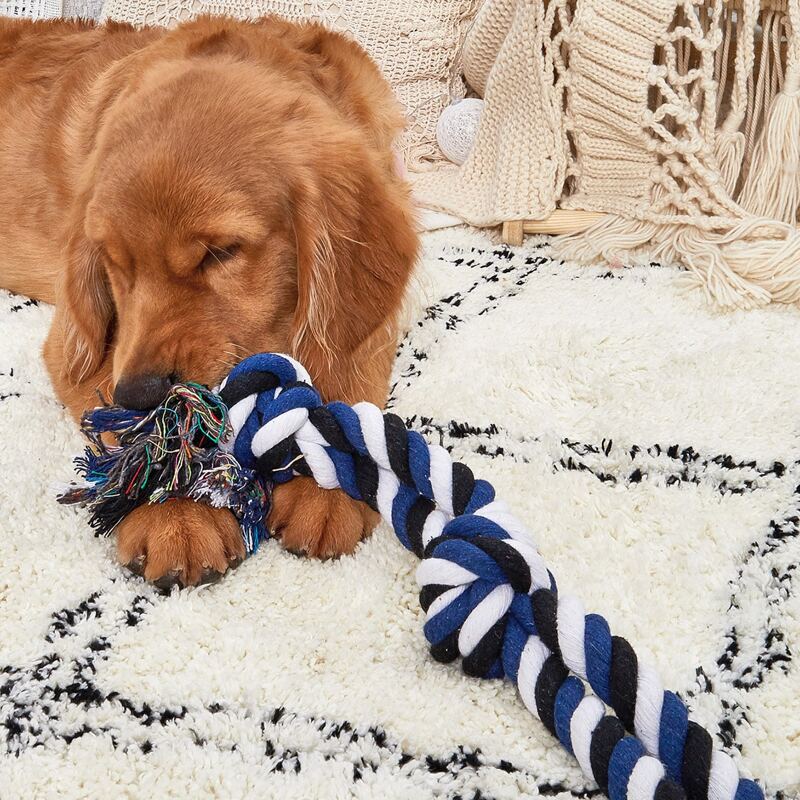

Cotton Rope Pet Training Toy, Blue