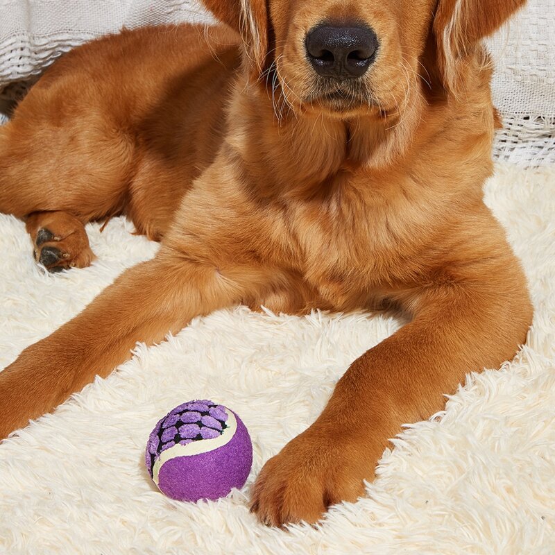 

Ball Design Dog Chew Toy, Purple