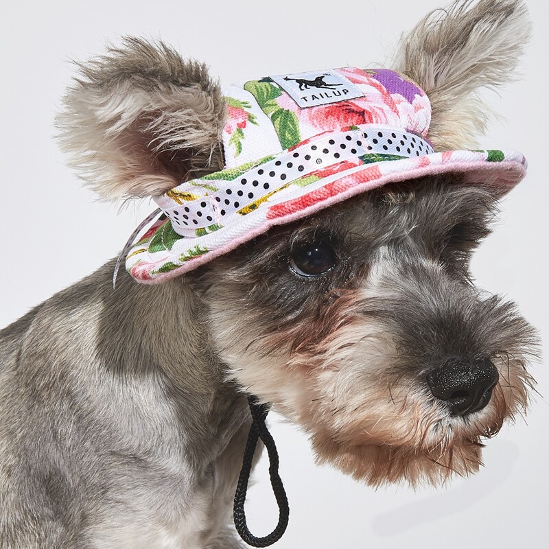 

Floral Pattern Cat Hat, Pink