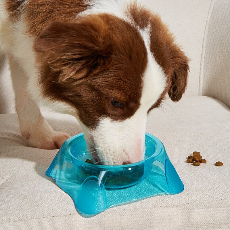 

Clear Feeder Dog Bowl, Baby blue