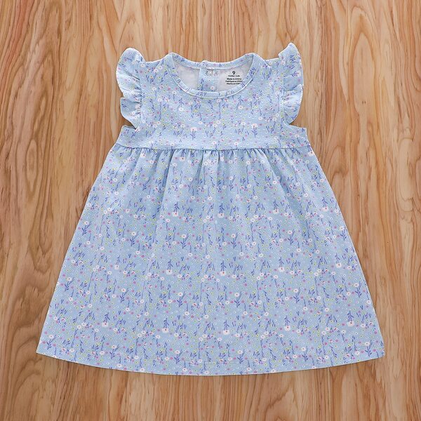 

Baby Girl Ditsy Floral Ruffle Trim Dress, Baby blue
