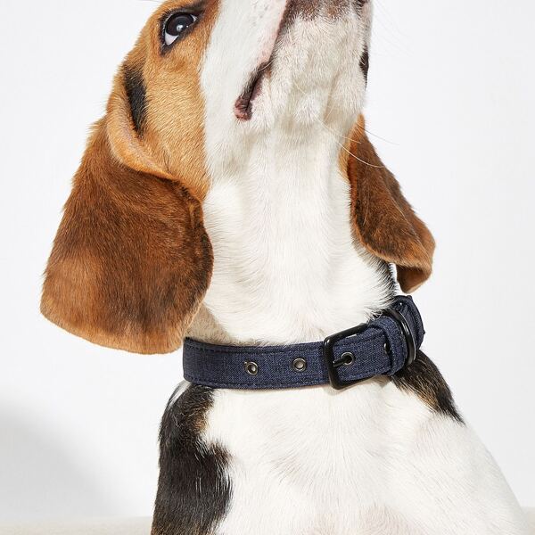 

Canvas Pet Collar, Navy blue