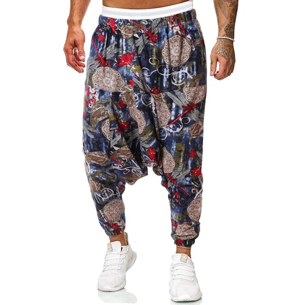 

Men Dragonfly Print Harem Pants, Multicolor