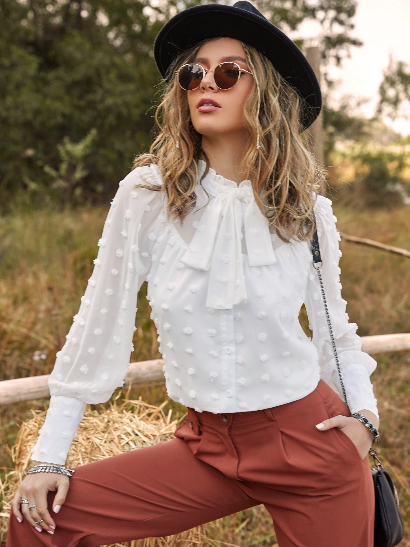 Swiss Dot Tie Neck Blouse thumbnail