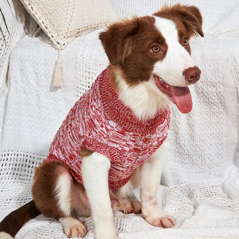 

Space Dye Pet Sweater, Red