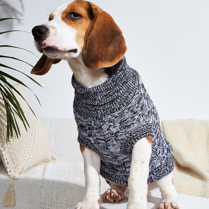 

Space Dye Pet Sweater, Multicolor