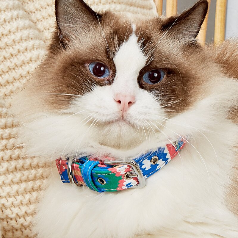 

Graphic Eyelet Buckle Pet Collar, Multicolor
