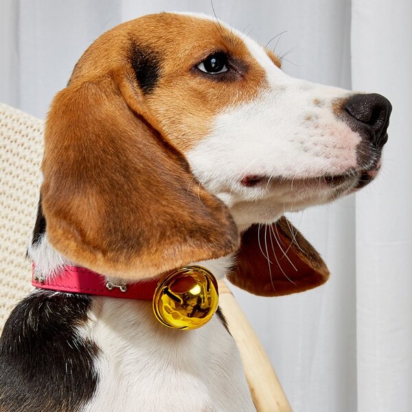 

Bell Pendant Pet Collar, Pink