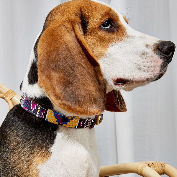 

Graphic Eyelet Buckle Pet Collar, Multicolor