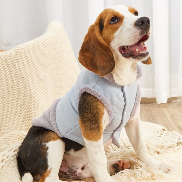 

Color Block Plush Pet Jacket, Green