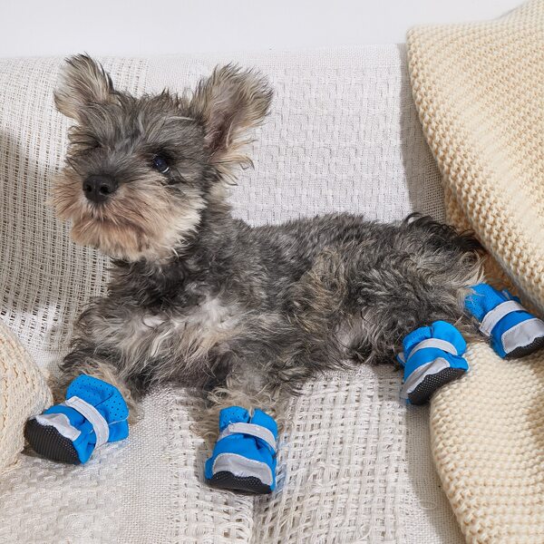 

4pcs Color Block Pet Shoes, Blue