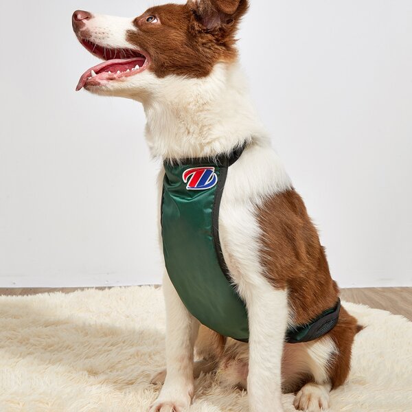 

Contrast Binding Waterproof Pet Tank, Green