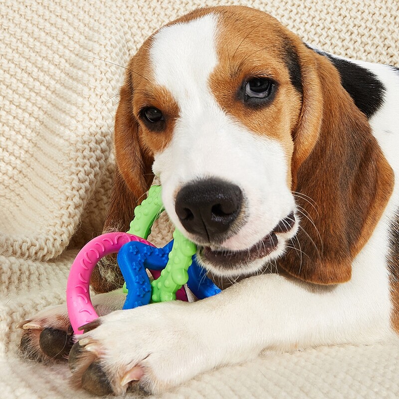 

1pc Geometric Link Dog Chew Toy, Multicolor