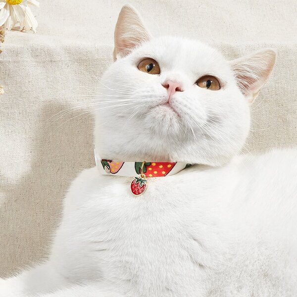 

1pc Strawberry Print Pet Necklace, Multicolor