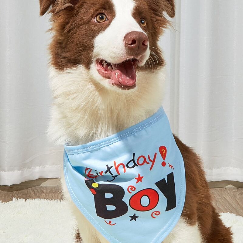 

Birthday Letter Graphic Pet Bandana, Multicolor